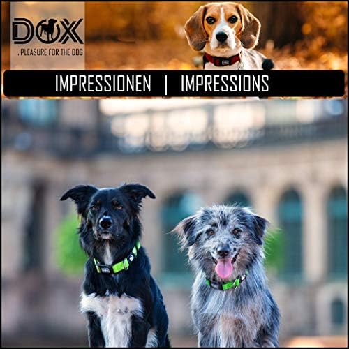 DDOXX Airmesh Nyakörv - Erős, Állítható Nyakörv Kutyák - S (Sárga)