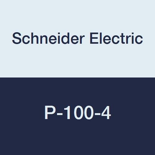 A Schneider Electric P-100-4 11 Pin Tér Aljzat