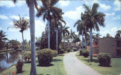 Miami Springs, Florida Képeslap